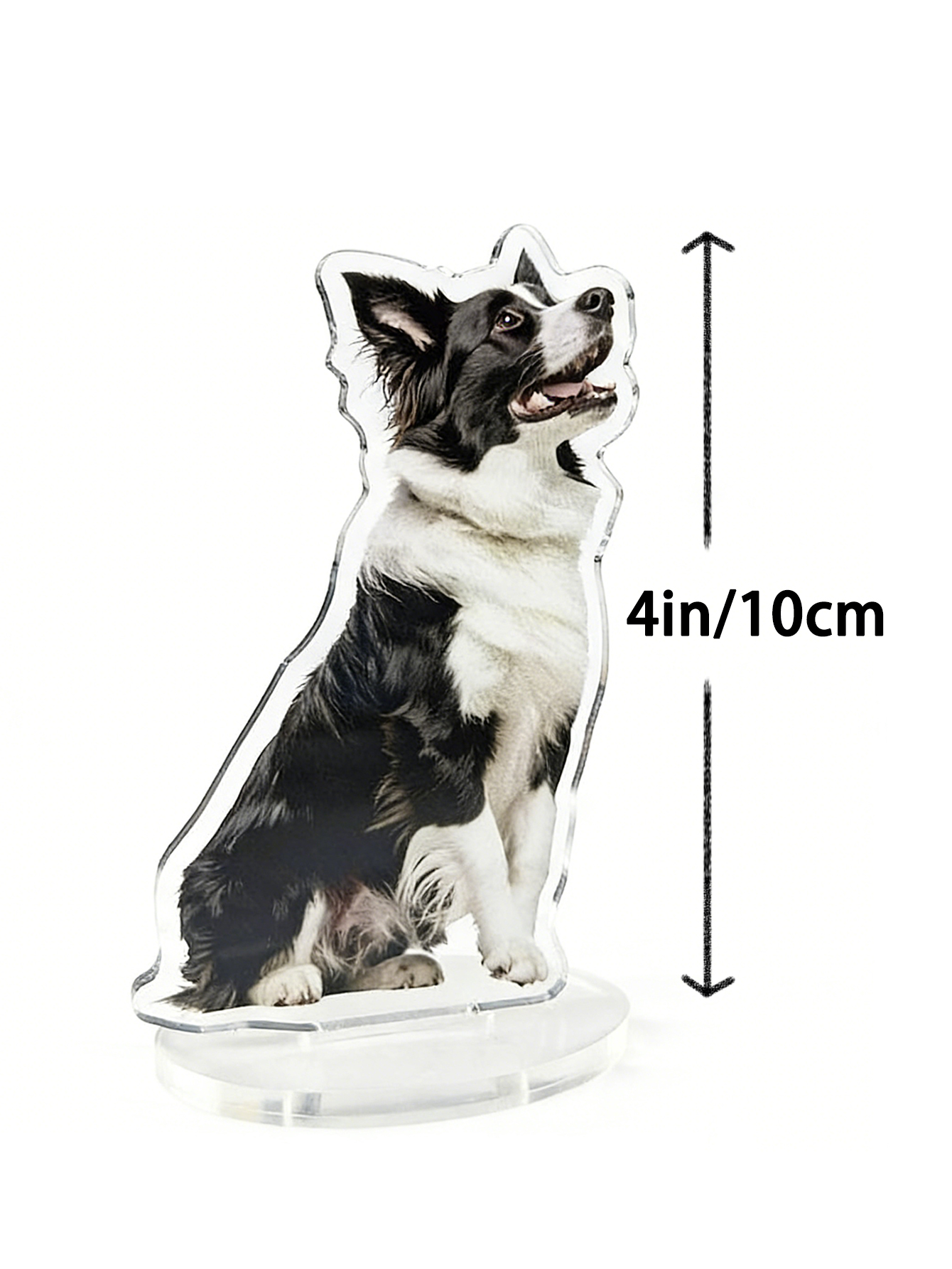 Personalized Pet Photo Acrylic Stand